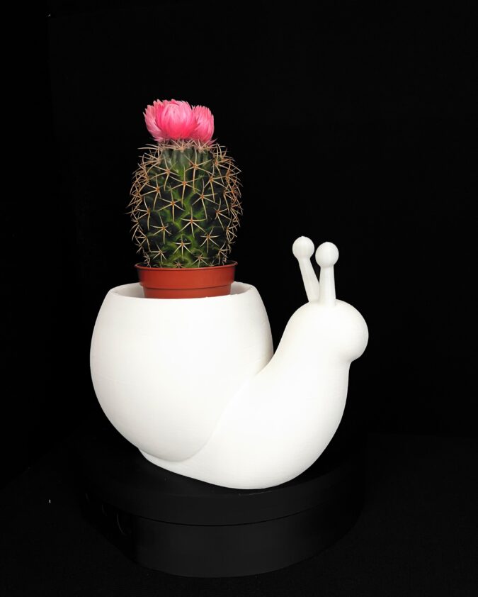 3D-printed snail-shaped vase, PLA, [color] — VisionX Durrës
