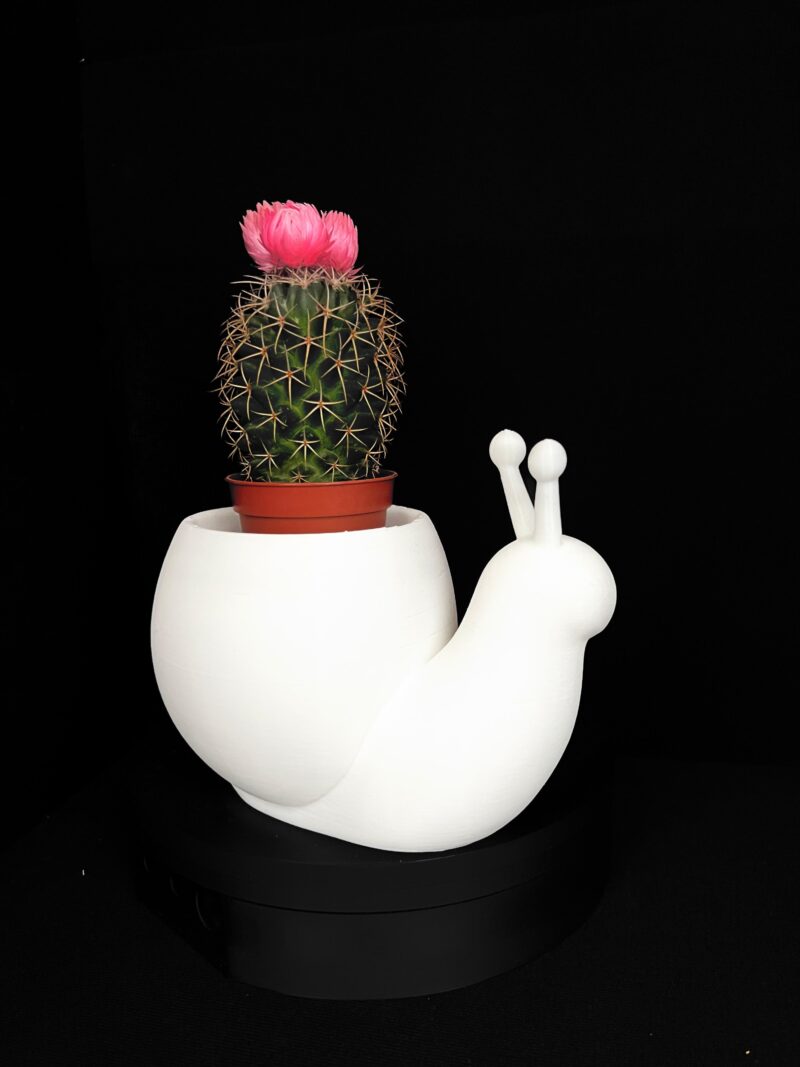 3D-printed snail-shaped vase, PLA, [color] — VisionX Durrës
